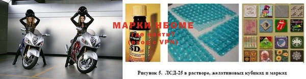 гидра Гусев