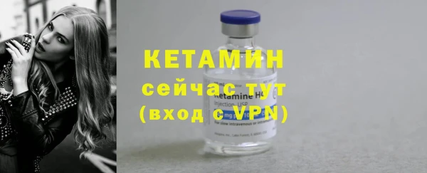 гидра Гусев