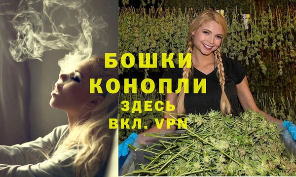 гидропоника Гусиноозёрск
