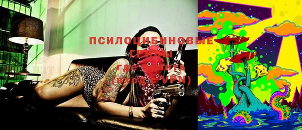 гидра Гусев
