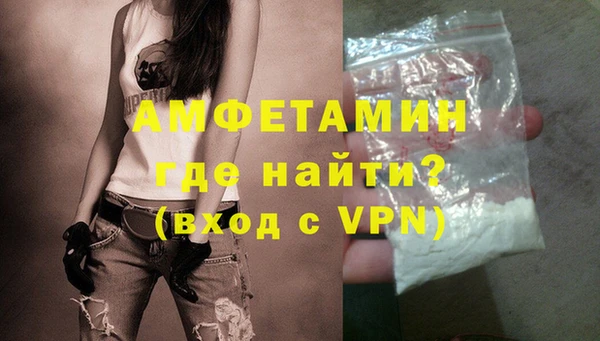 гидра Гусев