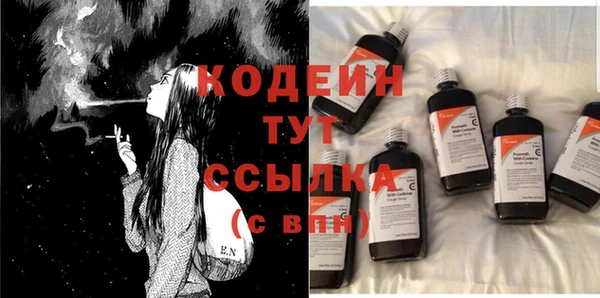 гидра Гусев