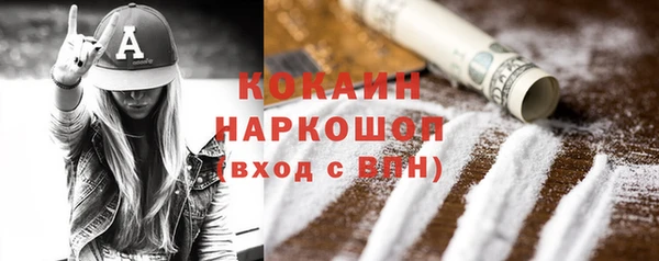 гидра Гусев